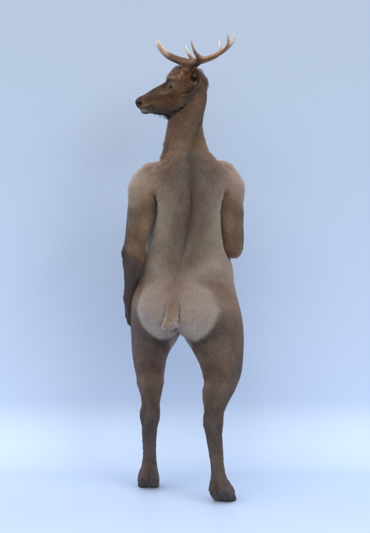 Wapiti Deer 3d model preview image 2